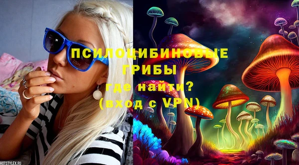 гидропоника Лагань