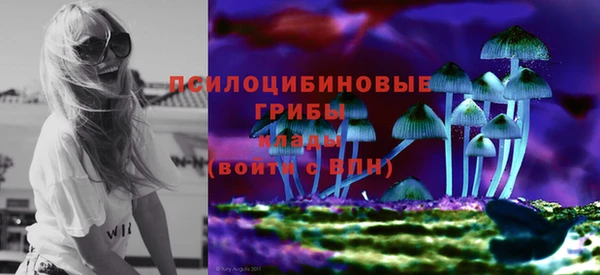 экстази Ладушкин
