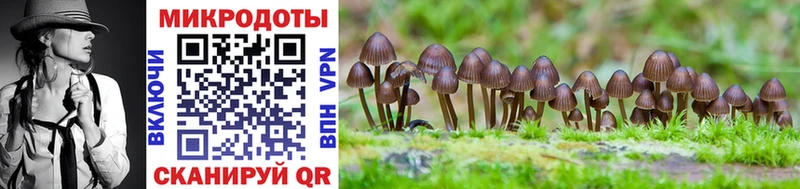 Галлюциногенные грибы Psilocybine cubensis  где можно купить   Тула 