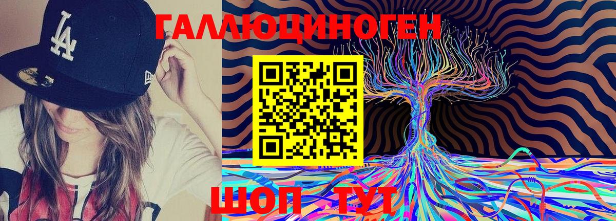 Псилоцибиновые грибы Cubensis  Псилоцибиновые грибы GOLDEN TEACHER  Тула  Вход с VPN 
