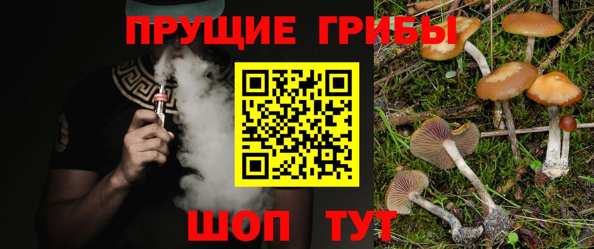 Тула  Галлюциногенные грибы Psilocybe  Вход с VPN 